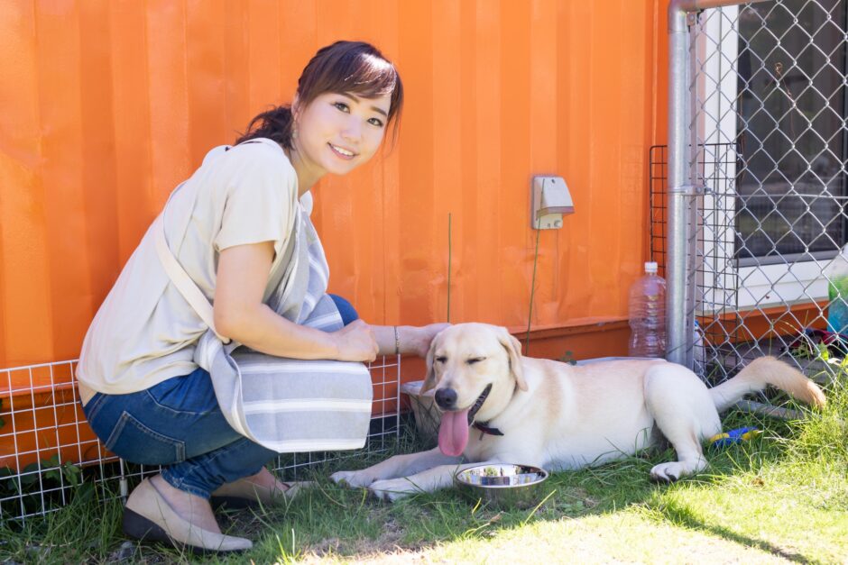 犬が水をたくさん飲む原因は？症状や多飲の判断基準・対処法を解説