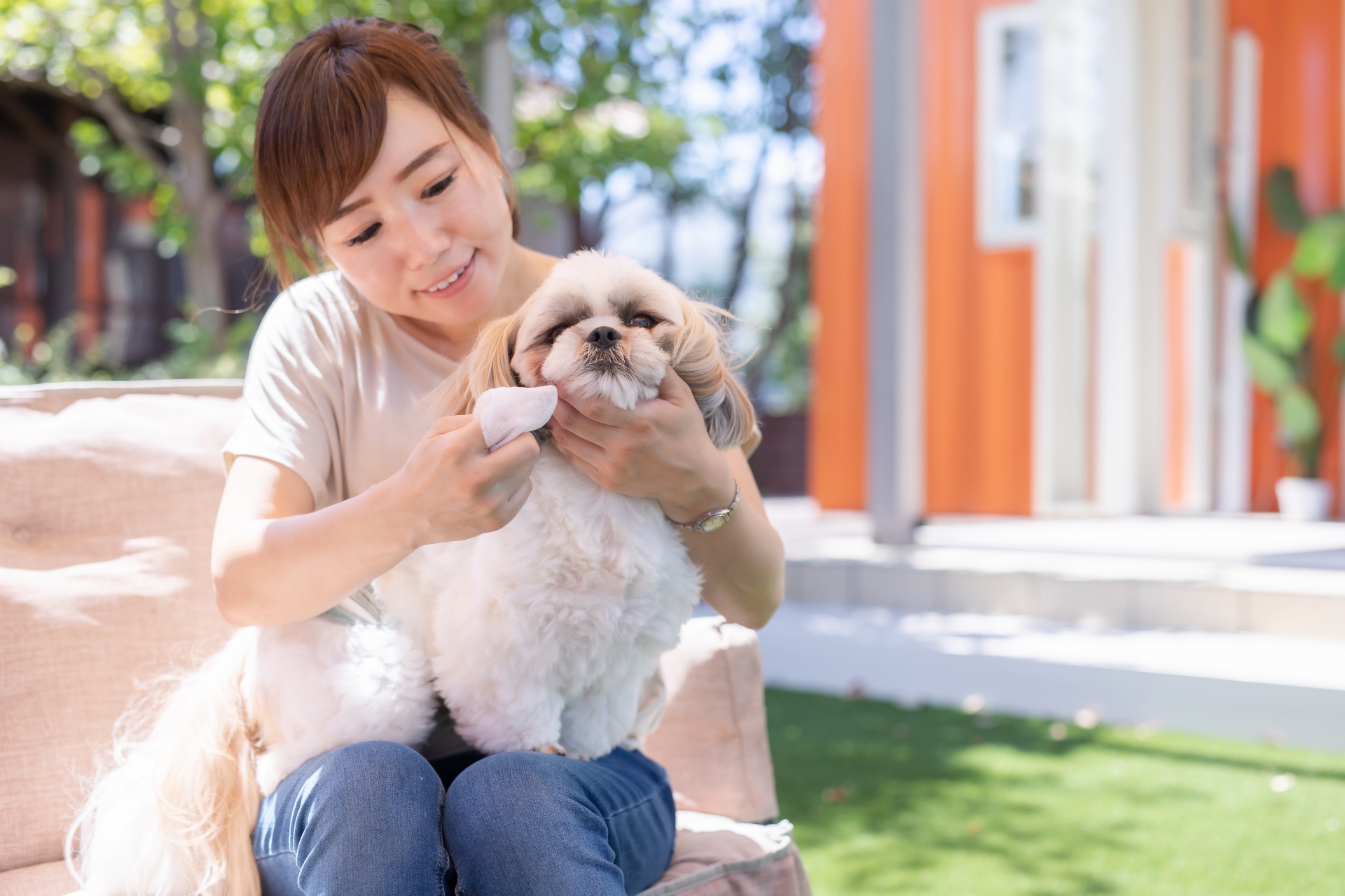 犬のケアをする女性