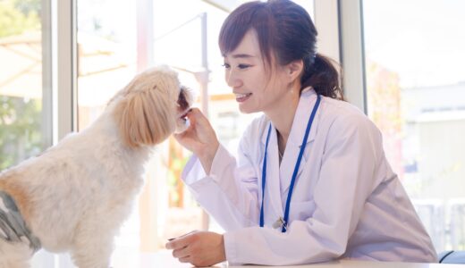犬が結膜炎になる原因と症状｜治療法や予防法についても解説