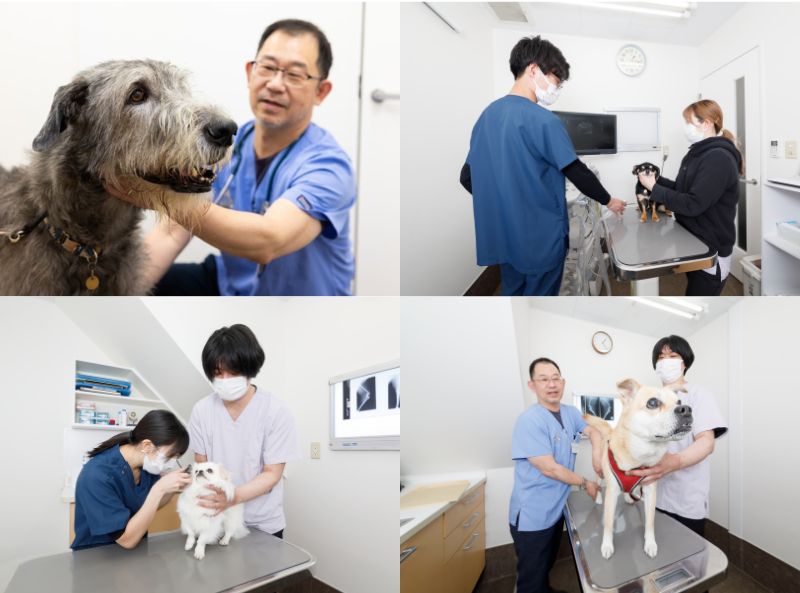 川瀬獣医科病院