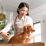 トリミングを犬が嫌がる理由は？事前対策やリラックスさせる方法を解説