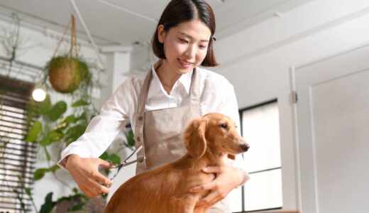 トリミングを犬が嫌がる理由は？事前対策やリラックスさせる方法を解説