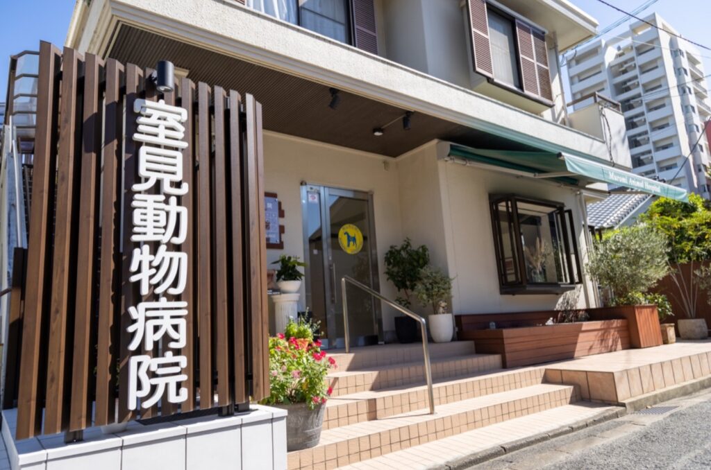 高島平手塚動物病院photo