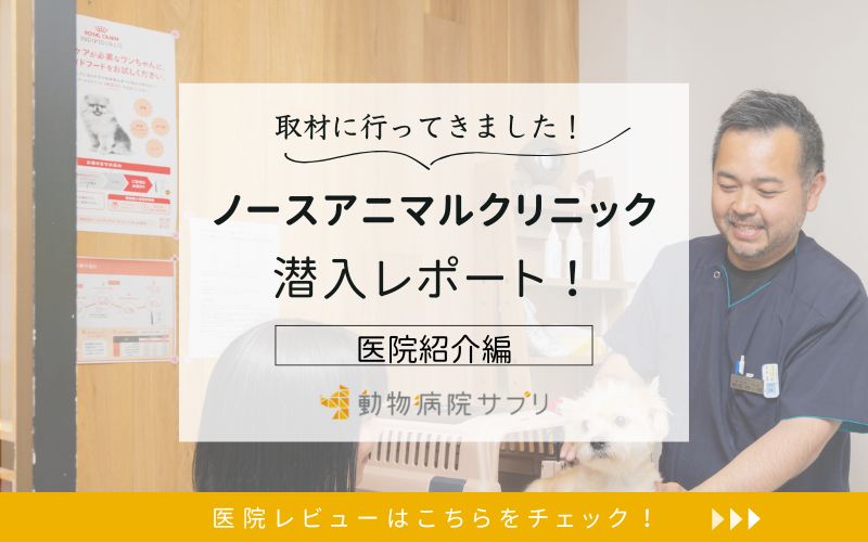 ノースアニマルクリニック