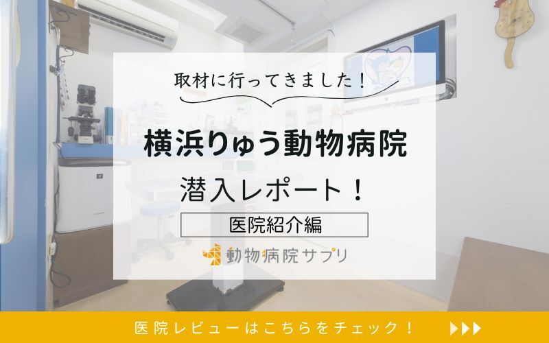 横浜りゅう動物病院