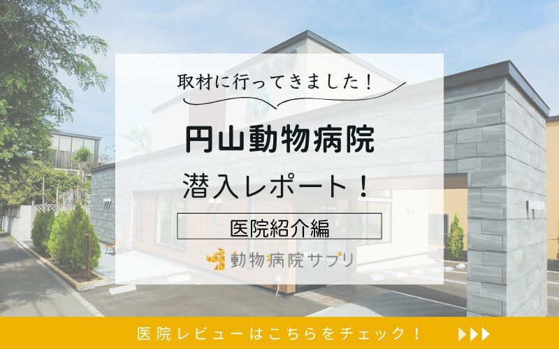 円山動物病院
