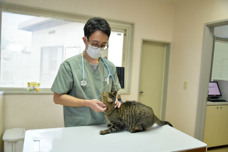 つじ犬猫病院