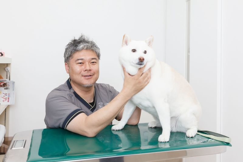こひ動物病院