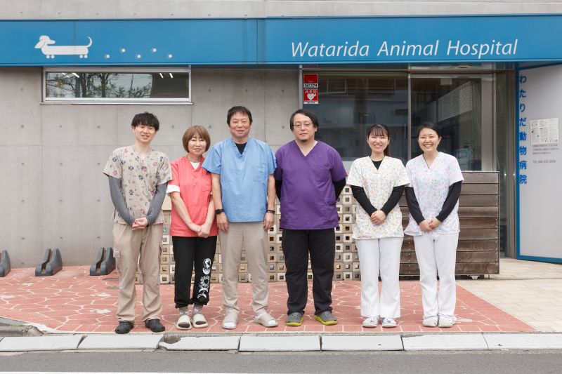 わたりだ動物病院