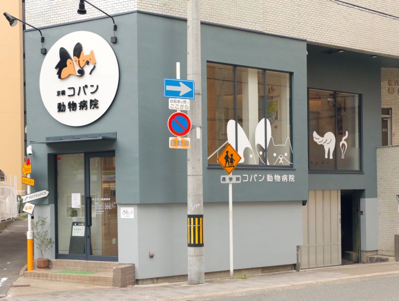 京橋コパン動物病院photo