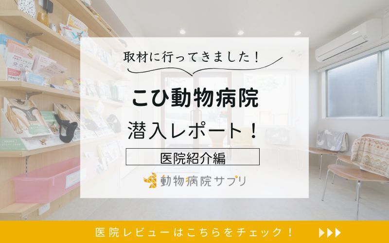 こひ動物病院