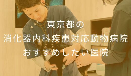 【2025年】東京都の消化器内科疾患対応動物病院 おすすめしたい5医院