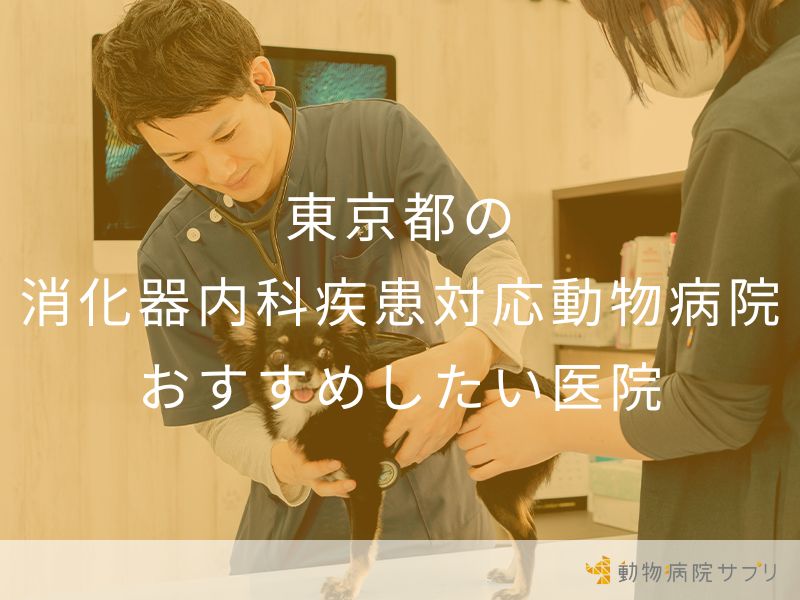 東京都の消化器内科疾患対応動物病院 おすすめしたい医院
