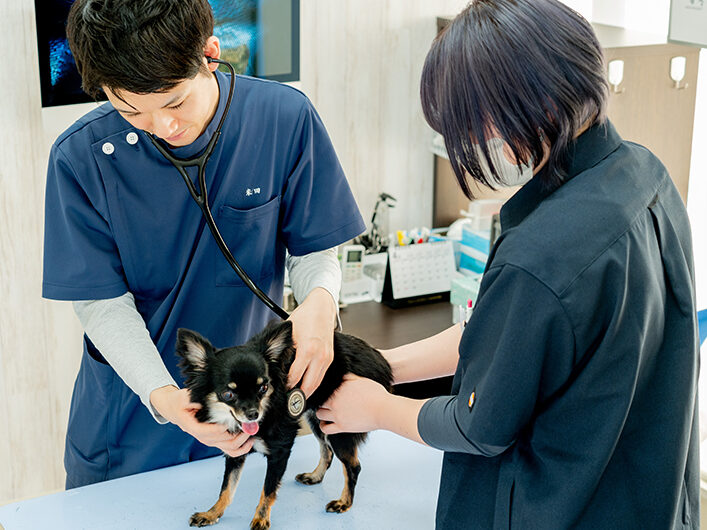 あまの動物病院