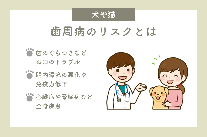 犬や猫に起こりやすい歯周病のリスク