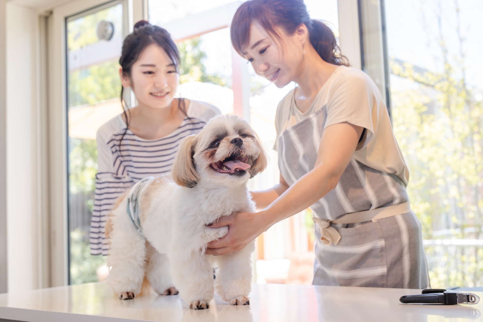 ペットサロンでお手入れ