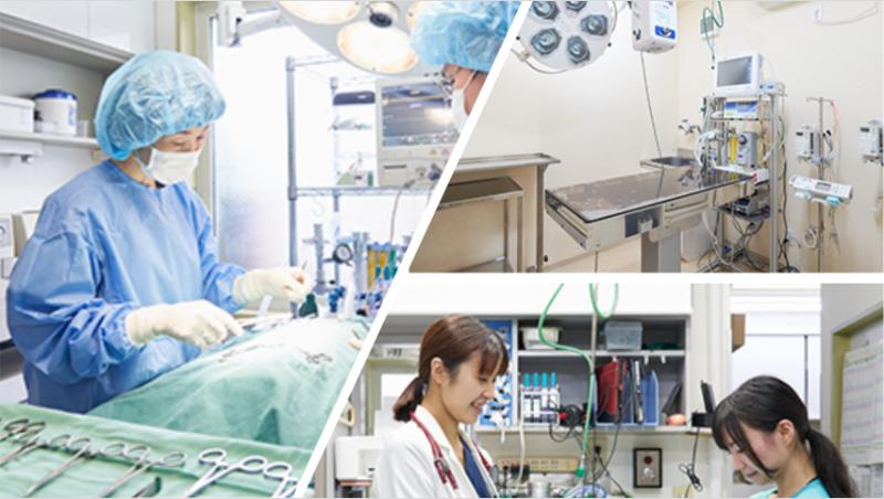 光が丘動物病院 練馬本院