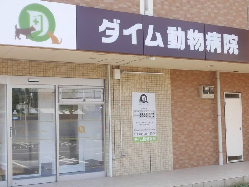 ダイム動物病院