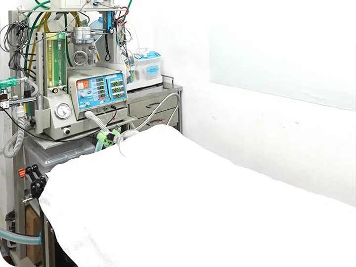 エルマーどうぶつ病院
