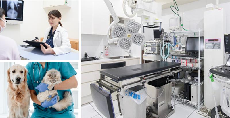 光が丘動物病院 練馬本院