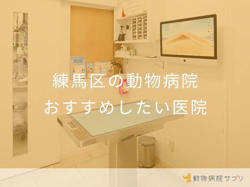 練馬区の動物病院 おすすめしたい医院