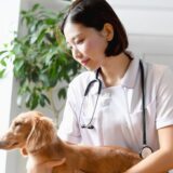 動物病院の治療費は高い？診療費を軽減する方法や病気の予防方法を解説