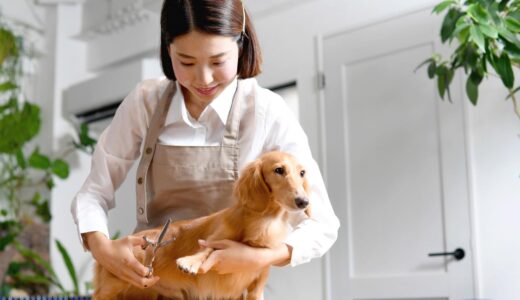 犬のトリミングで肉球の間の毛を処理すべき理由｜適切な処理方法や処理後の注意点も解説します