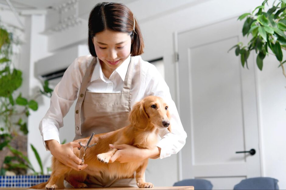 犬のトリミングで肉球の間の毛を処理すべき理由｜適切な処理方法や処理後の注意点も解説します