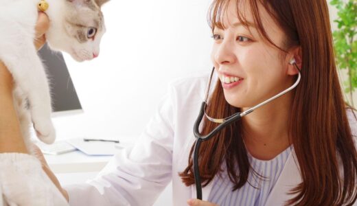 動物病院の初診で必要な準備や必要なもの、受診後のポイントなどを解説します