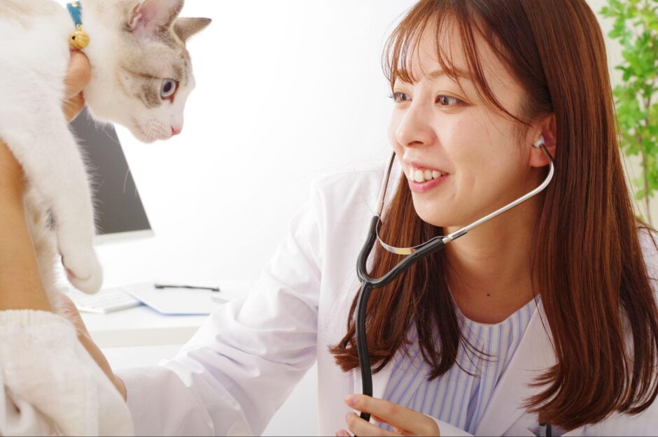 動物病院の初診で必要な準備や必要なもの、受診後のポイントなどを解説します
