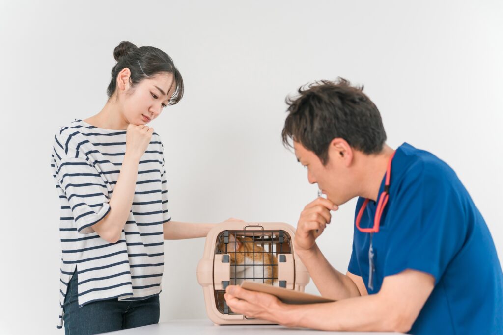猫にかさぶたができたときに考えられる病気