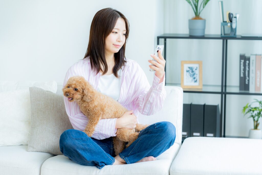 スマホをみる