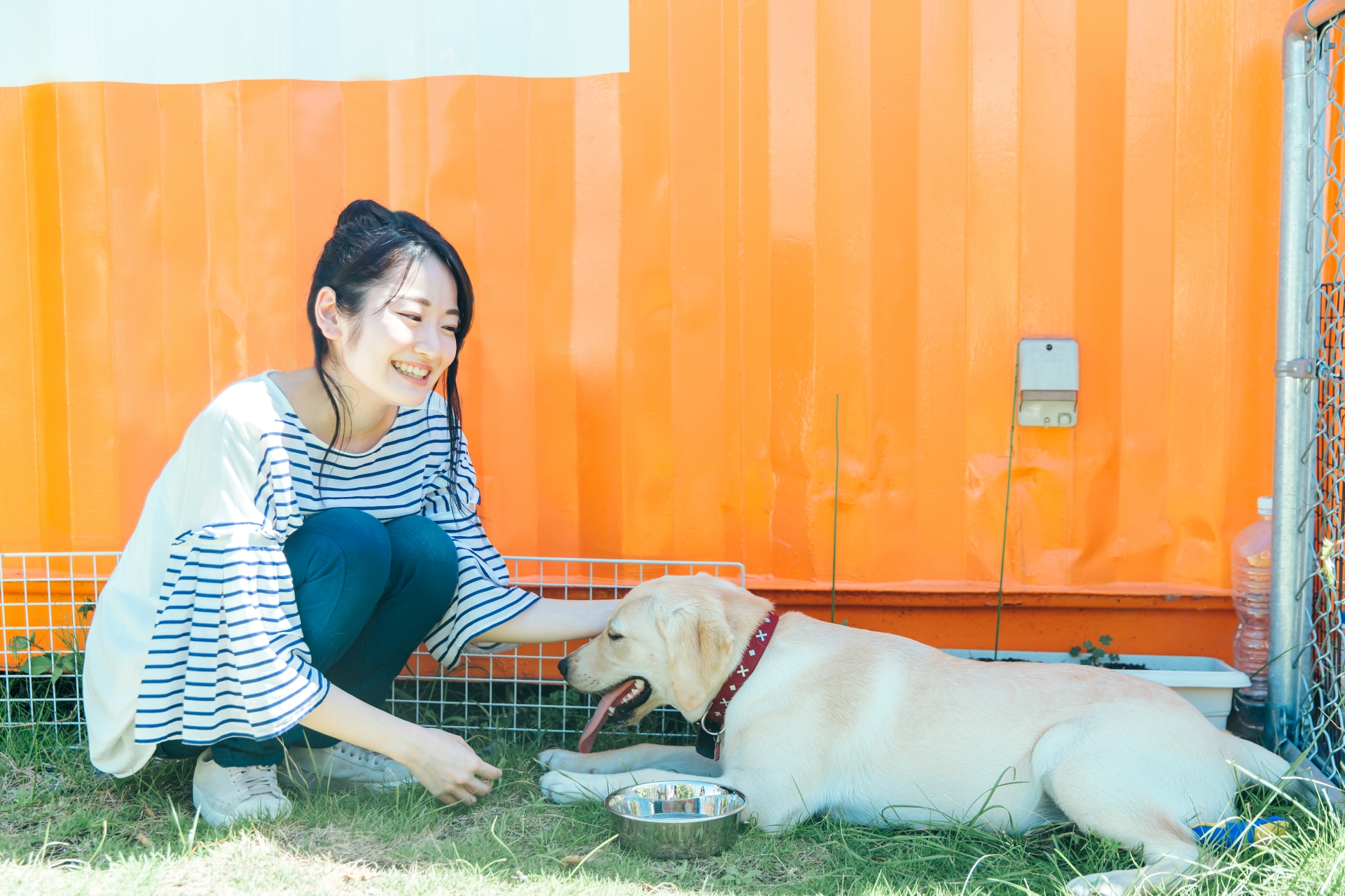 犬とその飼い主