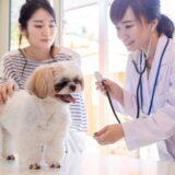 動物病院の診察料はどのくらい？動物病院ごとに診察料が違う理由や費用相場を解説