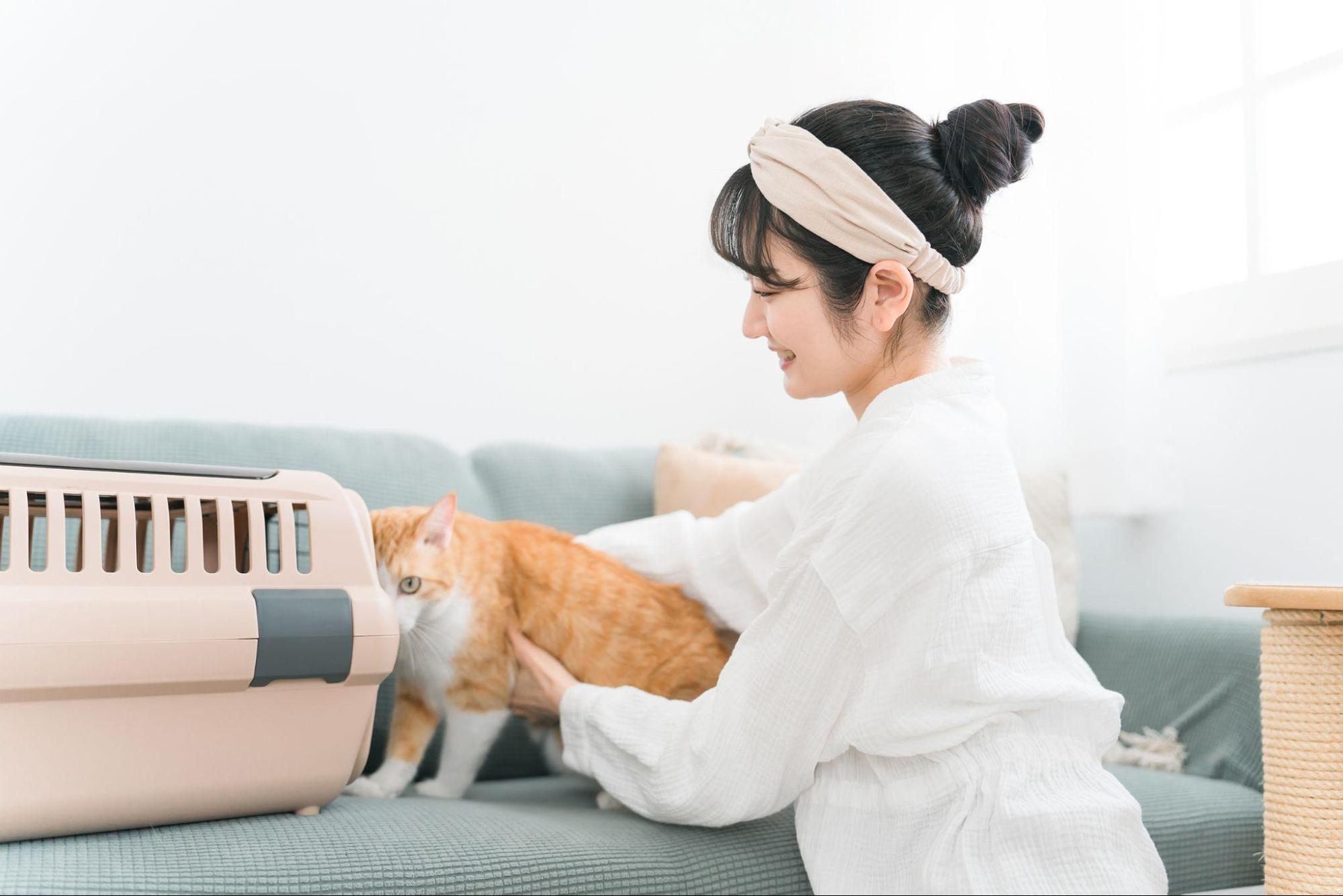 動物病院で初診を受ける際に必要なもの