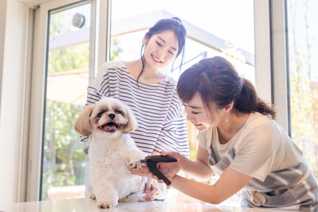 飼い主と犬