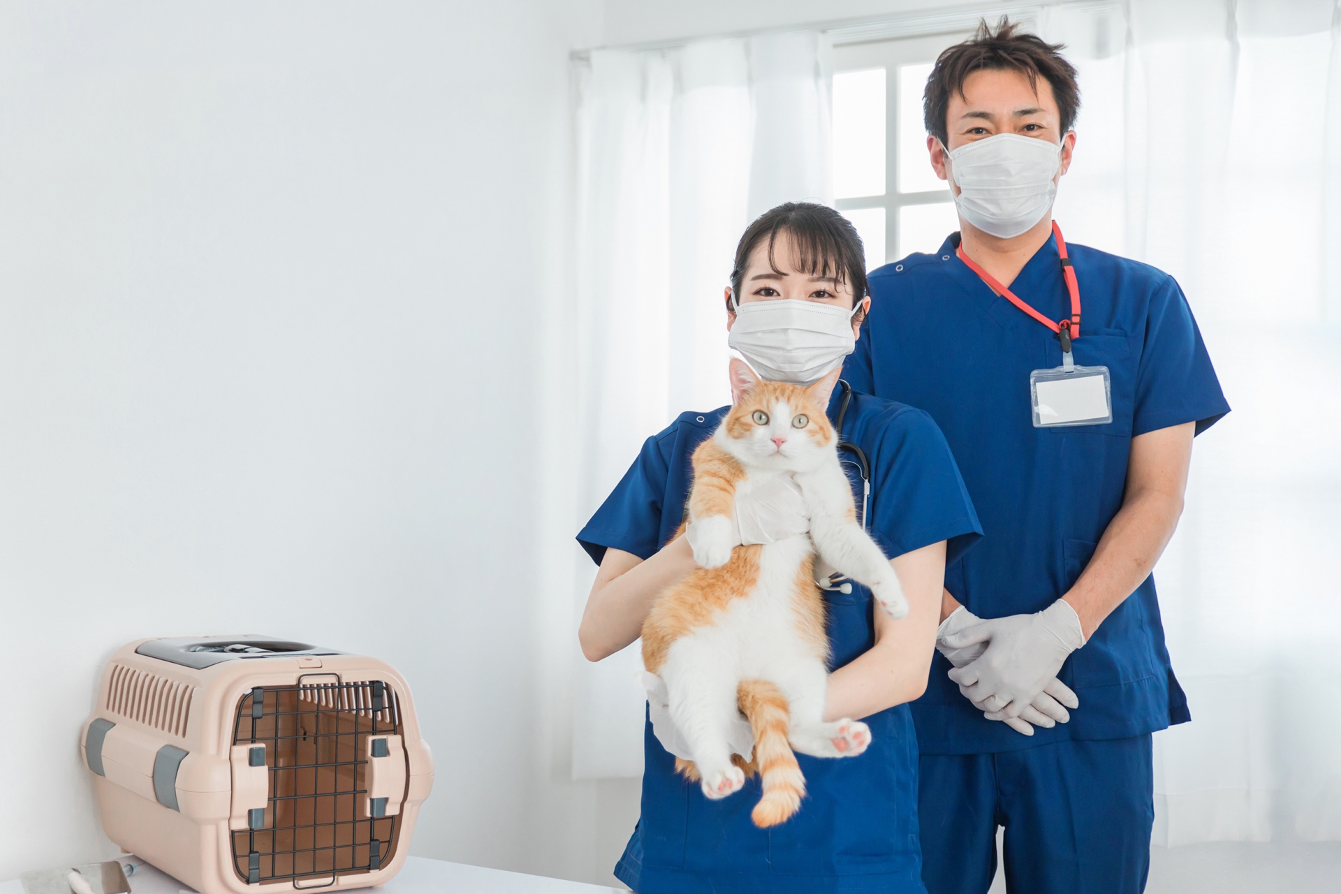 動物病院のスタッフ