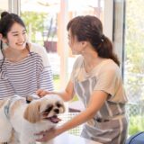 子犬のトリミングはいつからできる？頻度や注意点・料金についても解説