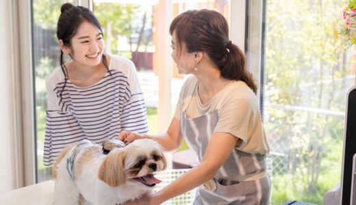 子犬のトリミングはいつからできる？頻度や注意点・料金についても解説