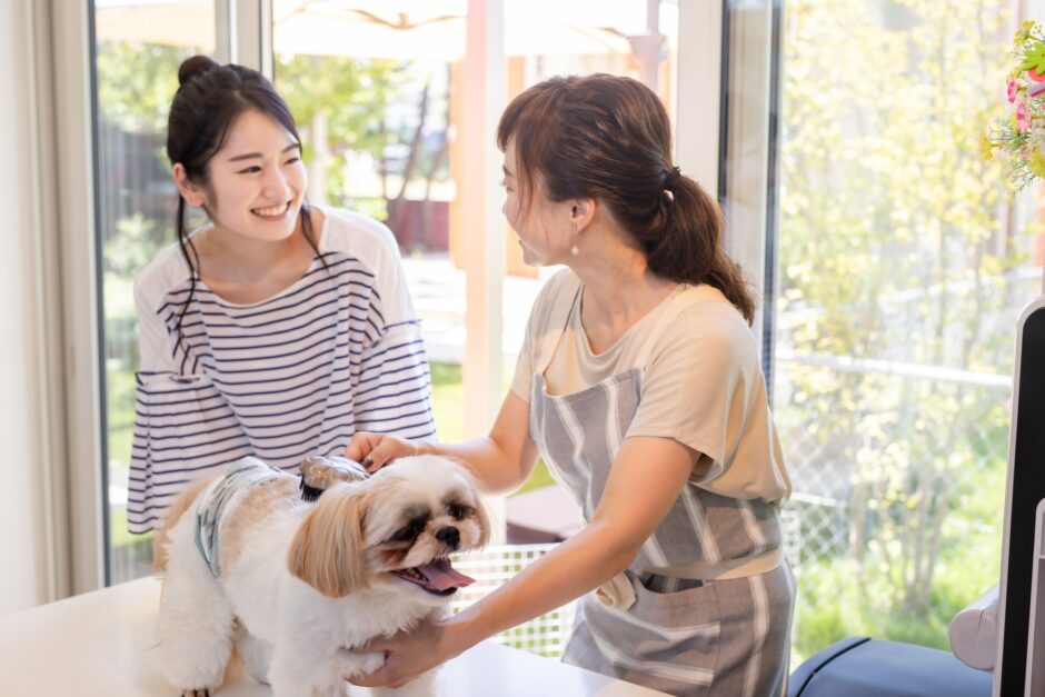 子犬のトリミングはいつからできる？頻度や注意点・料金についても解説