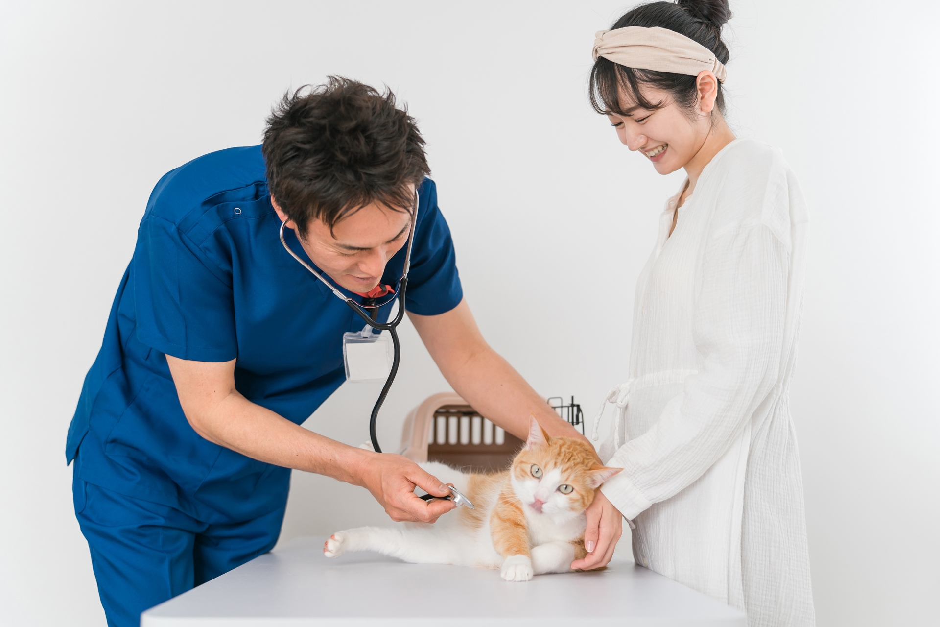 動物病院で獣医師に診察を受ける猫と飼い主