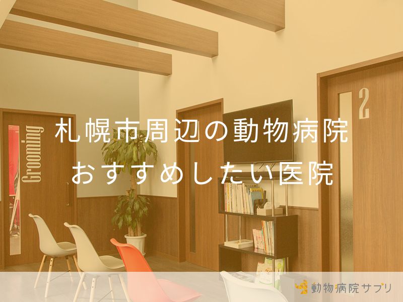 札幌市周辺の動物病院 おすすめしたい医院