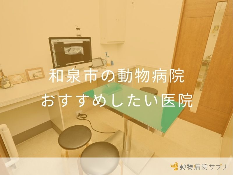 和泉市の動物病院 おすすめしたい医院