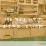 【2025年】鴨川市の動物病院 おすすめしたい3医院