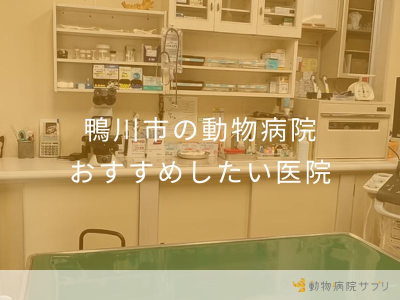 鴨川市の動物病院 おすすめしたい医院