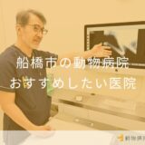 【2025年】船橋市の動物病院 おすすめしたい6医院