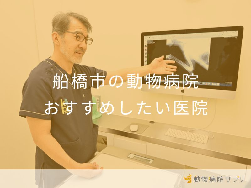 船橋市の動物病院 おすすめしたい医院