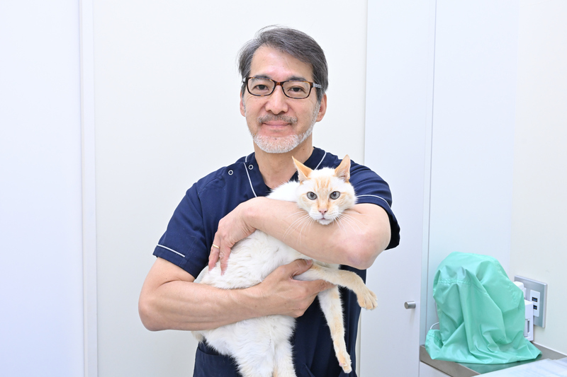 ふなばし動物医療センター かつまペットクリニック
