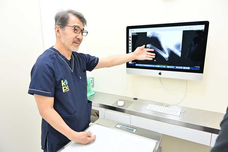 ふなばし動物医療センター かつまペットクリニック