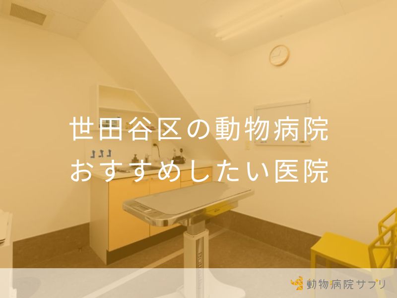 世田谷区の動物病院 おすすめしたい医院